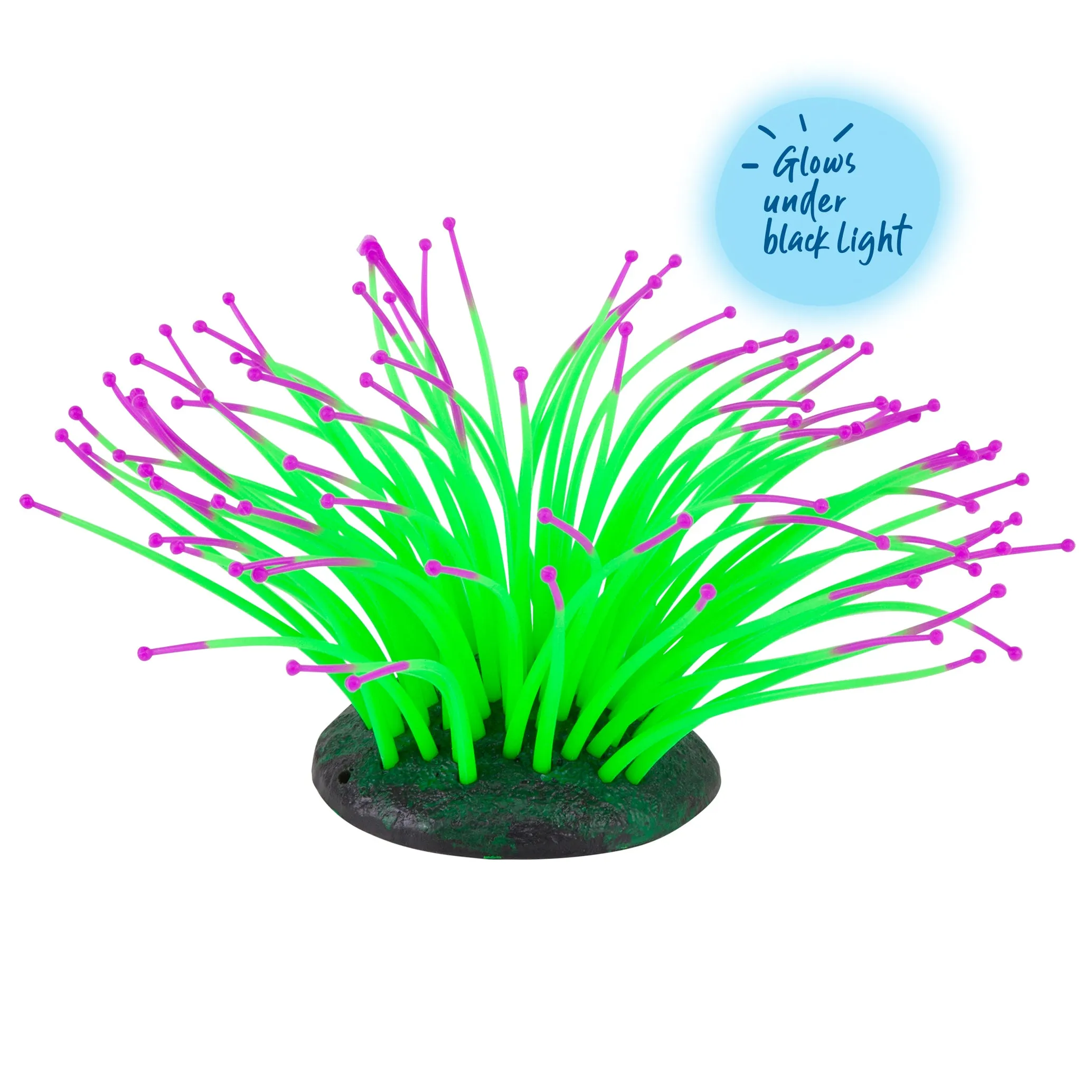 Silicone Sea Anemone